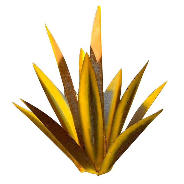 Iron Agave Plant