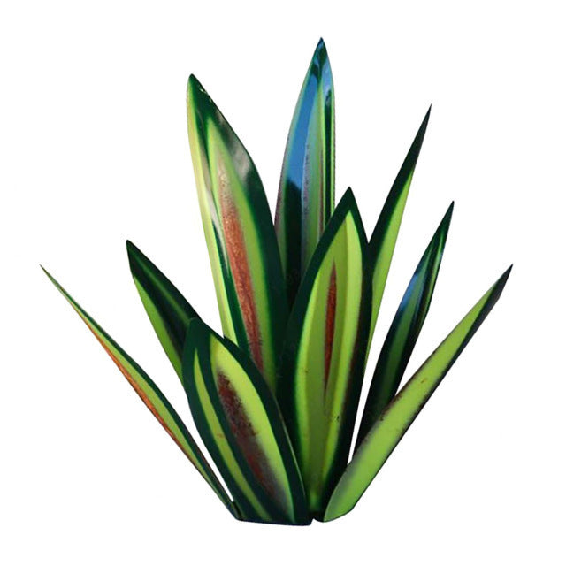 Iron Agave Plant
