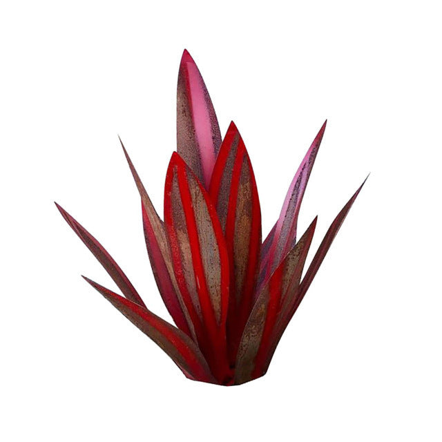 Iron Agave Plant