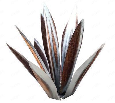 Iron Agave Plant