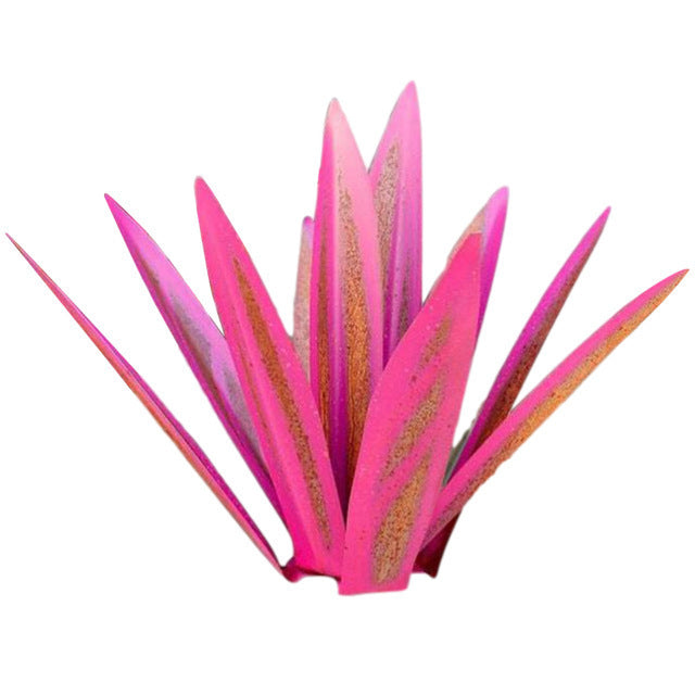 Iron Agave Plant